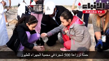 حملة لزراعة 500 شجرة في محمية الجهراء للطيور