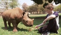 شاهد- طفل في 11 من العمر يتكفل بمهمة حماية صغار حيوان وحيد القرن - Euronews