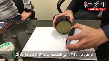 مواطن من «T1» إلى المكافحة بـ «80 غرام» ماريغوانا