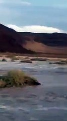 فيديو لمتهورين في سيول السعودية والدفاع المدني يحذر