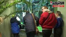 حديقة حيوان في موسكو تستقبل مولودة لغوريلا نادرة