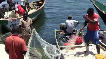 أوغندا وكينيا تتنازعان السيادة على صخرة كبيرة في بحيرة فيكتوريا