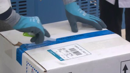 화이자 백신 접종 시작...집단면역 순조로운 첫걸음 / YTN