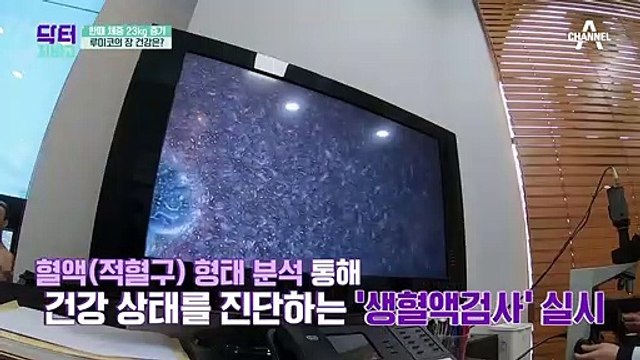 비만이 장 건강과 관련 있다? 비만 탈출의 열쇠♨