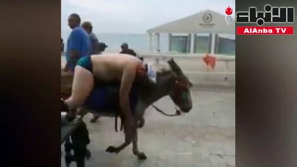 سائح مرهق ينام على ظهر حمار في سوتشي