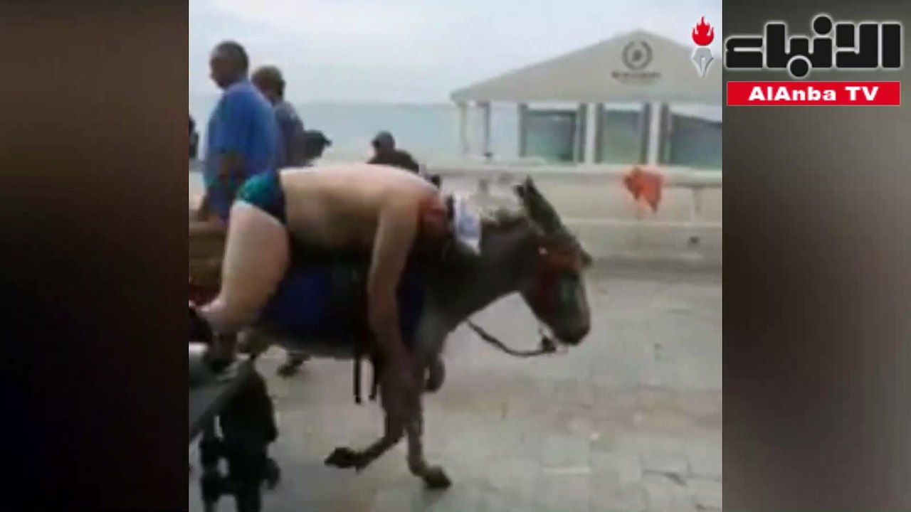 سائح مرهق ينام على ظهر حمار في سوتشي