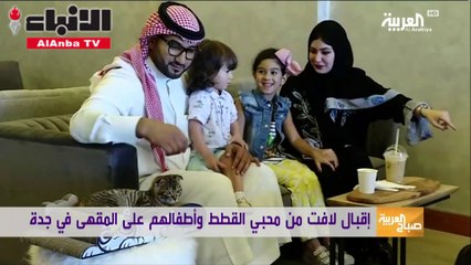 مقهي للقطط في جدة