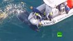 إنقاذ حوت أحدب في السواحل الأسترالية بعدما علق في شبكة لصيد أسماك القرش