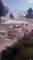 السيول تبتلع باص بكل سهولة في ولاية هيماچل براديش الهند - YouTube