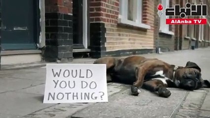 كلاب تتظاهر بلندن ضد بريكست