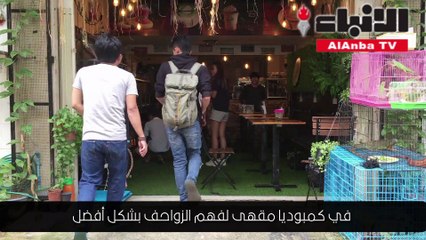 في كمبوديا مقهى لفهم الزواحف بشكل أفضل