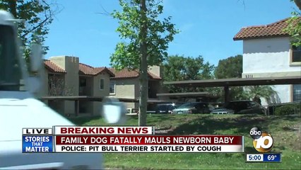 4 حوادث تسببت فيها الأم بموت طفلها عن غير قصد