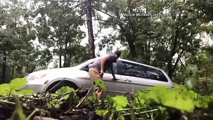 دب يكسر زجاج سيارة ويخرج منها أمام عين مالكها