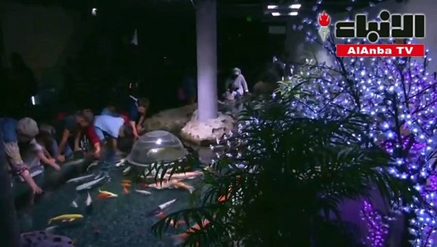 أسماك الزينة غير المرغوب فيها تجد مأوى جديدا لها في باريس