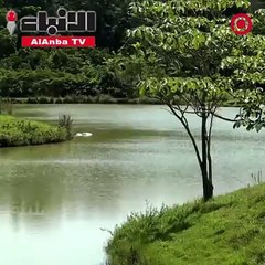 تركة غريبة لأكبر تاجر مخدرات عرفه العالم