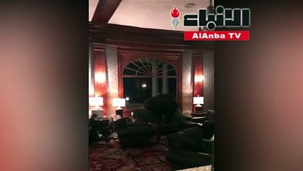 دب فضولي يتجول في أحد فنادق كولورادو