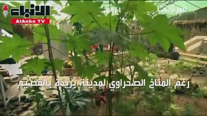 منزل سعودي أصبح محمية فيها 700 طائر