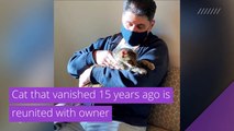 Cat that vanished 15 years ago is reunited with owner, and other top stories in strange news from February 27, 2021.