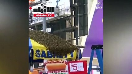 سرب من النحل يحاصرتايمز سكويروهكذا تصرفت الشرطة