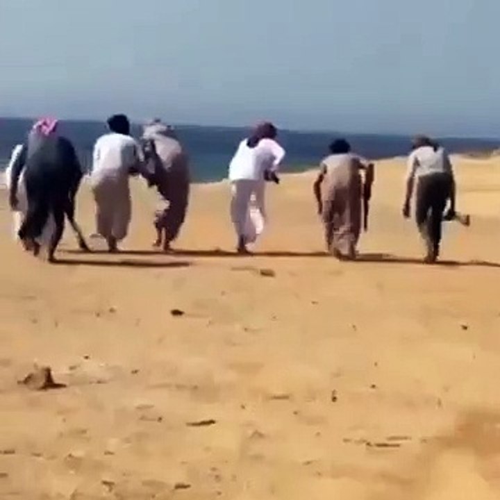 إبادة طيور بالأسلحة وإسقاطها في البحر!