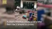 Cheeky monkey steals kids bike rides it around public square - YouTube