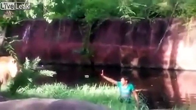 LiveLeak-dot-com-8C3712C2-9138-4A20-BA75-0DF41160FA7C_1533397773