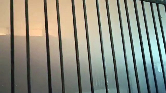 रायपुर में रुई बनाने वाली फैक्ट्री में लगी भीषण आग, फायर ब्रिगेड की 3 गाड़ी मौके पर पहुंचीं