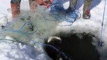 Çıldır Gölü'nde ‘Eskimo’ usulü balık avı
