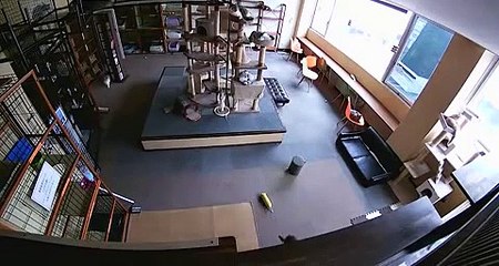 Incredible CCTV footage show cats sense earthquake before it occurs