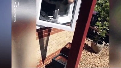 Thief films himself stealing on Instagram and asks followers what he should nick next