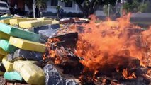 حرق 14 طنا ماريغوانا في اليارغواي قيمتها 21 مليون دولار