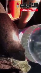 العميد الأمير لـ «الأنباء» قناني المياه بـ «السيارة» قنابل حارقة!