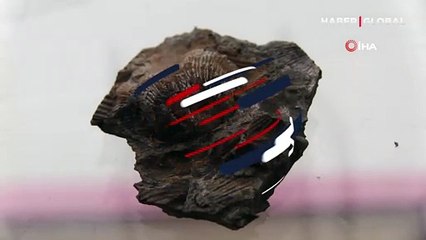 Şaşkına çeviren keşif! Şırnak'ta bulundu