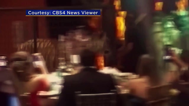 Caged tiger put on display at Florida high schools senior prom