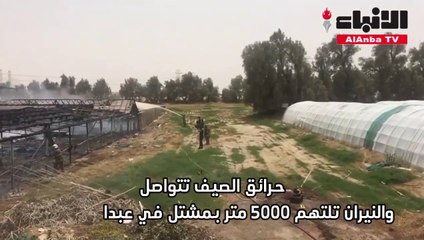 حرائق الصيف تتواصل والنيران تلتهم 5000 متر بمشتل