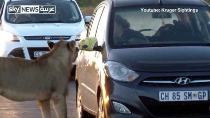 [1280x720] فيديو مخيف