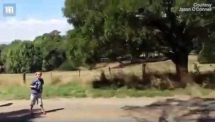 Anti-gravity hill appears to show bottle rolling up hill