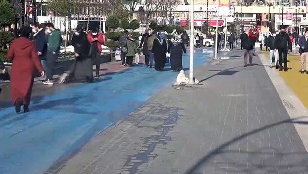 Bolu vaka artışının en fazla olduğu 5 il arasına girdi