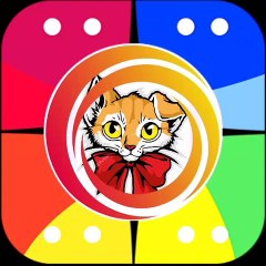 Cat playing pyano