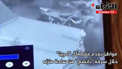مواطن يقدم مقطعاً لـ «لصين» خلال سرقة «بانشي» من ساحة منزله