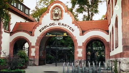 Tierärztin Dr. Mertens: Keine Kompromisse | Folge 82