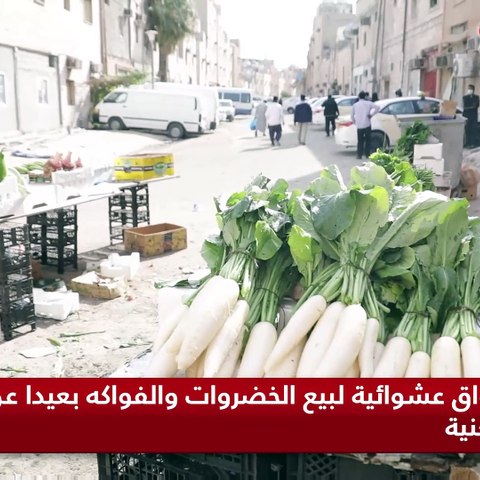 «الحساوي المنكوبة».. شوارع مكسّرة وحفر وكلاب ضالة ومخالفات بالجملة