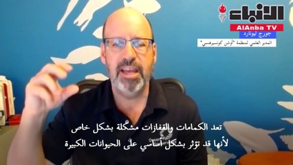 الكمامات المستخدمة... خطر داهم على الحيوانات والنظم البيئية