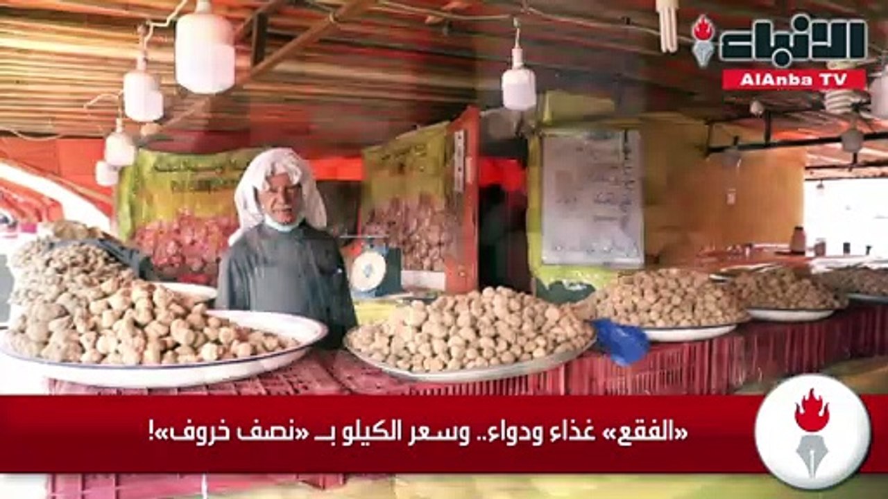 «الفقع» غذاء ودواء.. وسعر الكيلو بـ «نصف خروف»!