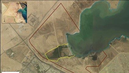 بالفيديو البيئة ترصد أشخاصا يدخلون محمية الجهراء بشكل غير قانوني