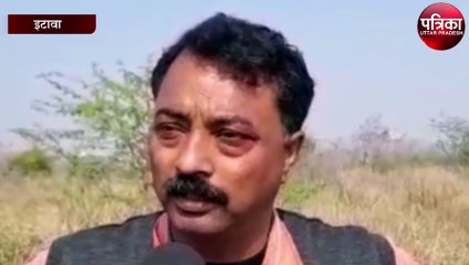 सारस पक्षी के गिनती में इटावा का दुबारा टॉप पर रहने की उम्मीद