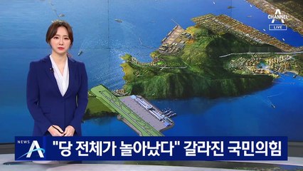 “당 전체가 놀아났다”…가덕도에 입장 갈라진 국민의힘