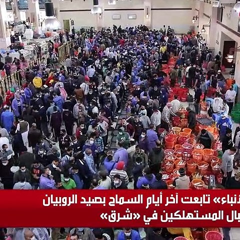 «الأنباء» تابعت آخر أيام السماح بصيد الروبيان وإقبال المستهلكين في «شرق»