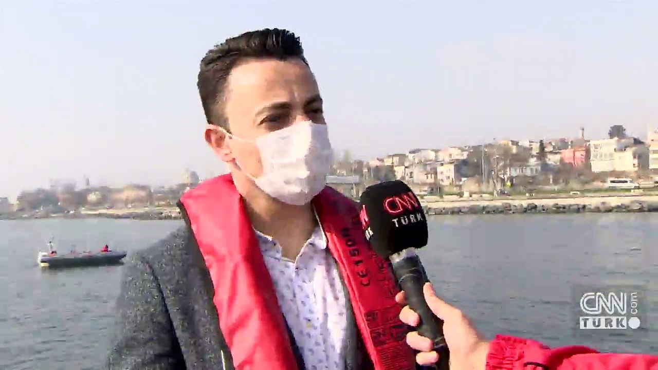 İstanbul Yenikapı'da ağlara takılan yunus kurtarıldı