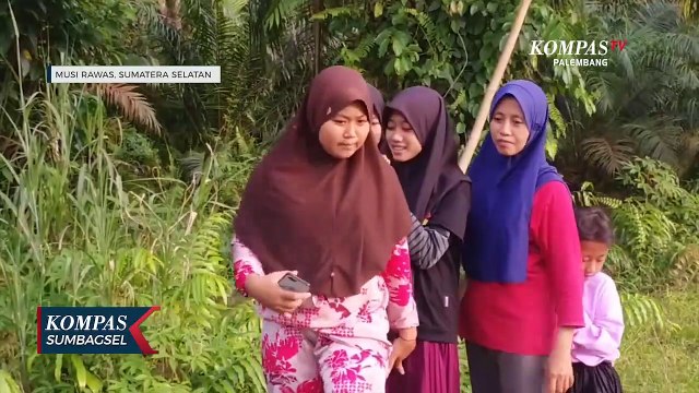 Muncul Ke Permukaan Sungai Buaya Senyulong Jadi Tontonan Warga